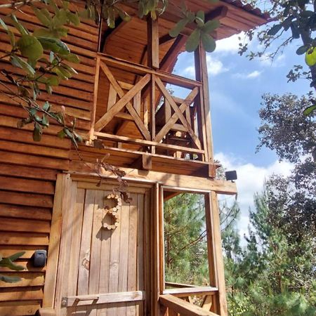 Cabana En El Bosque De San Jose Del Pacifico 3 Exteriér fotografie