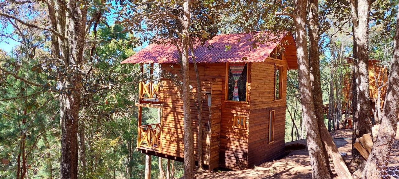 Cabana En El Bosque De San Jose Del Pacifico 3 Exteriér fotografie