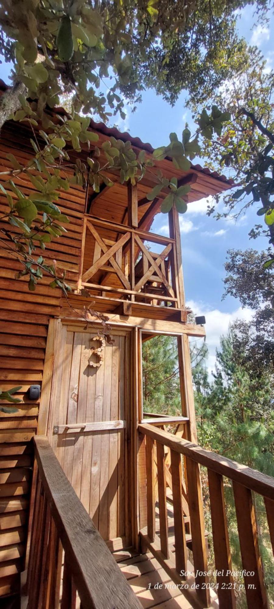 Cabana En El Bosque De San Jose Del Pacifico 3 Exteriér fotografie